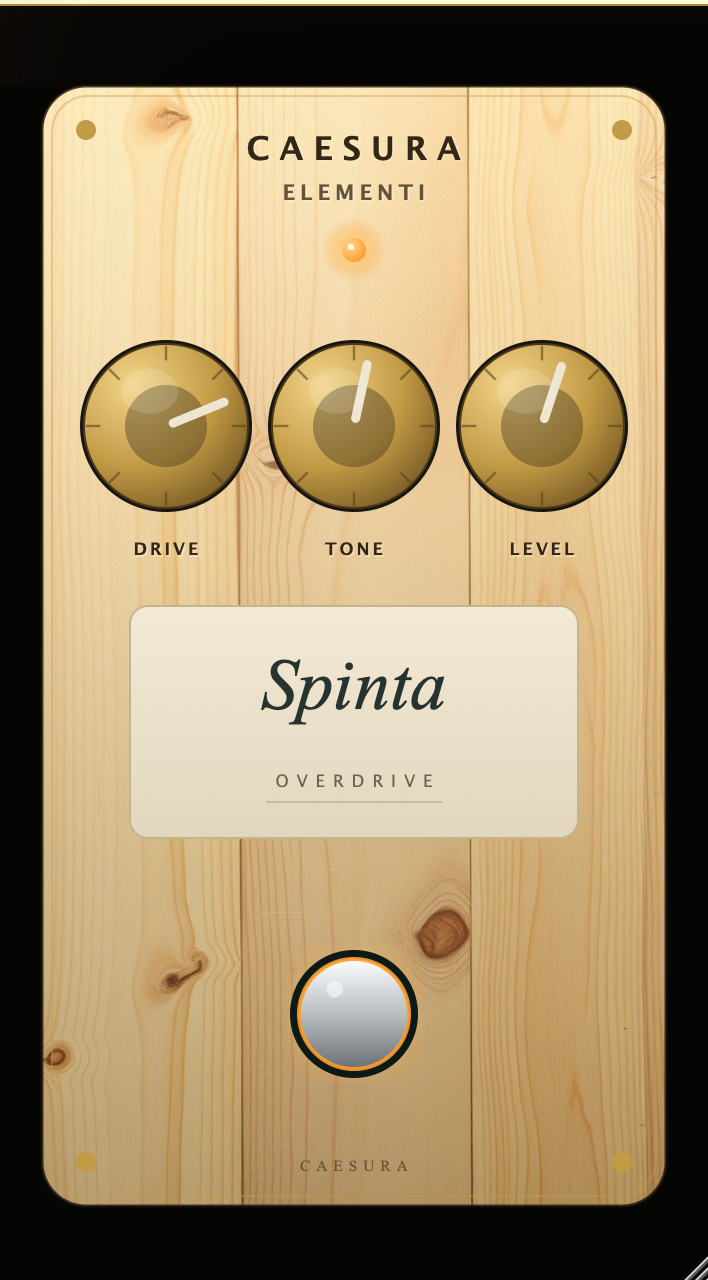 spinta